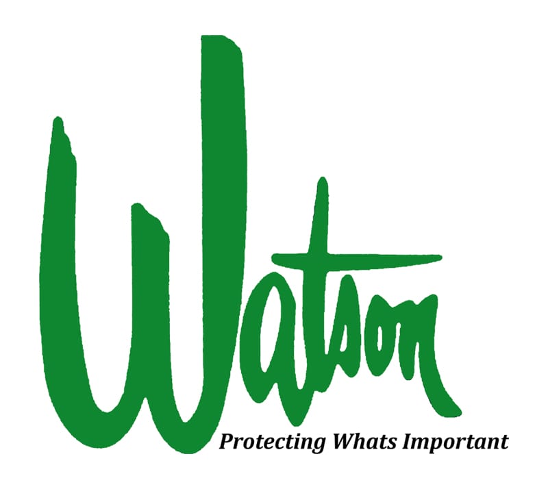 logo-watson